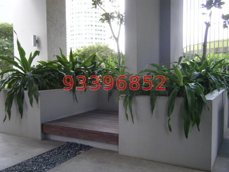 Novena Suites (D11), Apartment #73447902
